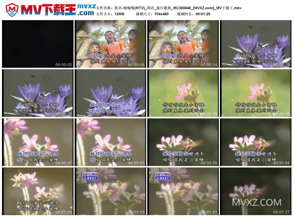 佚名-嗡嗡嗡(MTV)_国语_流行歌曲_MC300846